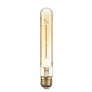 Lâmpada de Filamento de Carbono T30 - 40W 2.000K 220V
