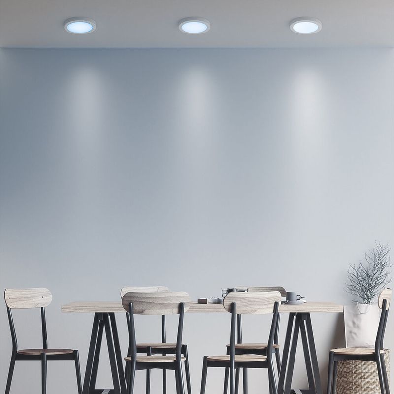 7908412502095_11.jpg